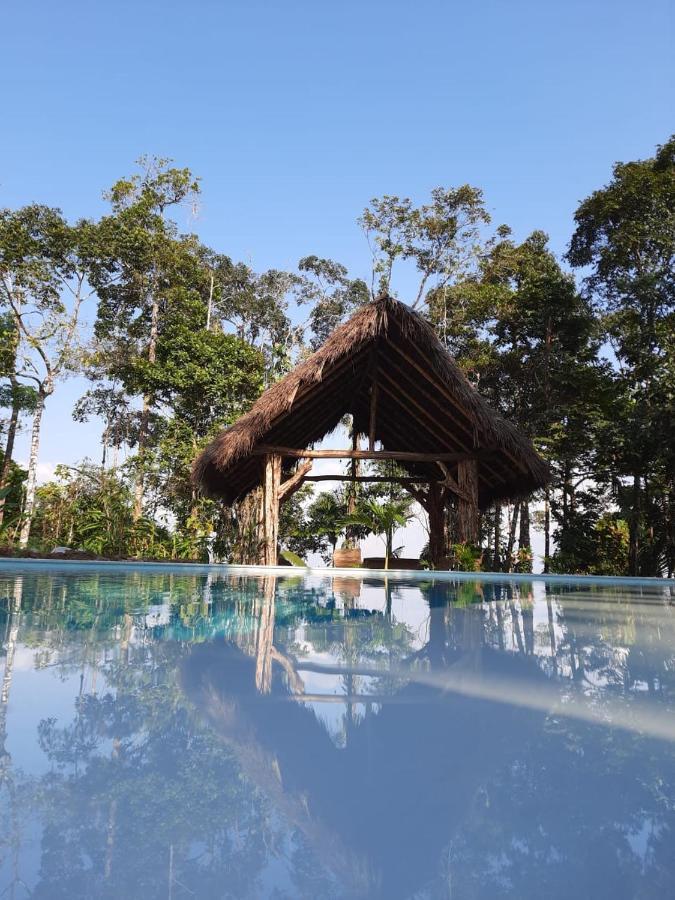 Wild Wasi Lodge - Adventures - Guided Tours Puyo Exterior foto