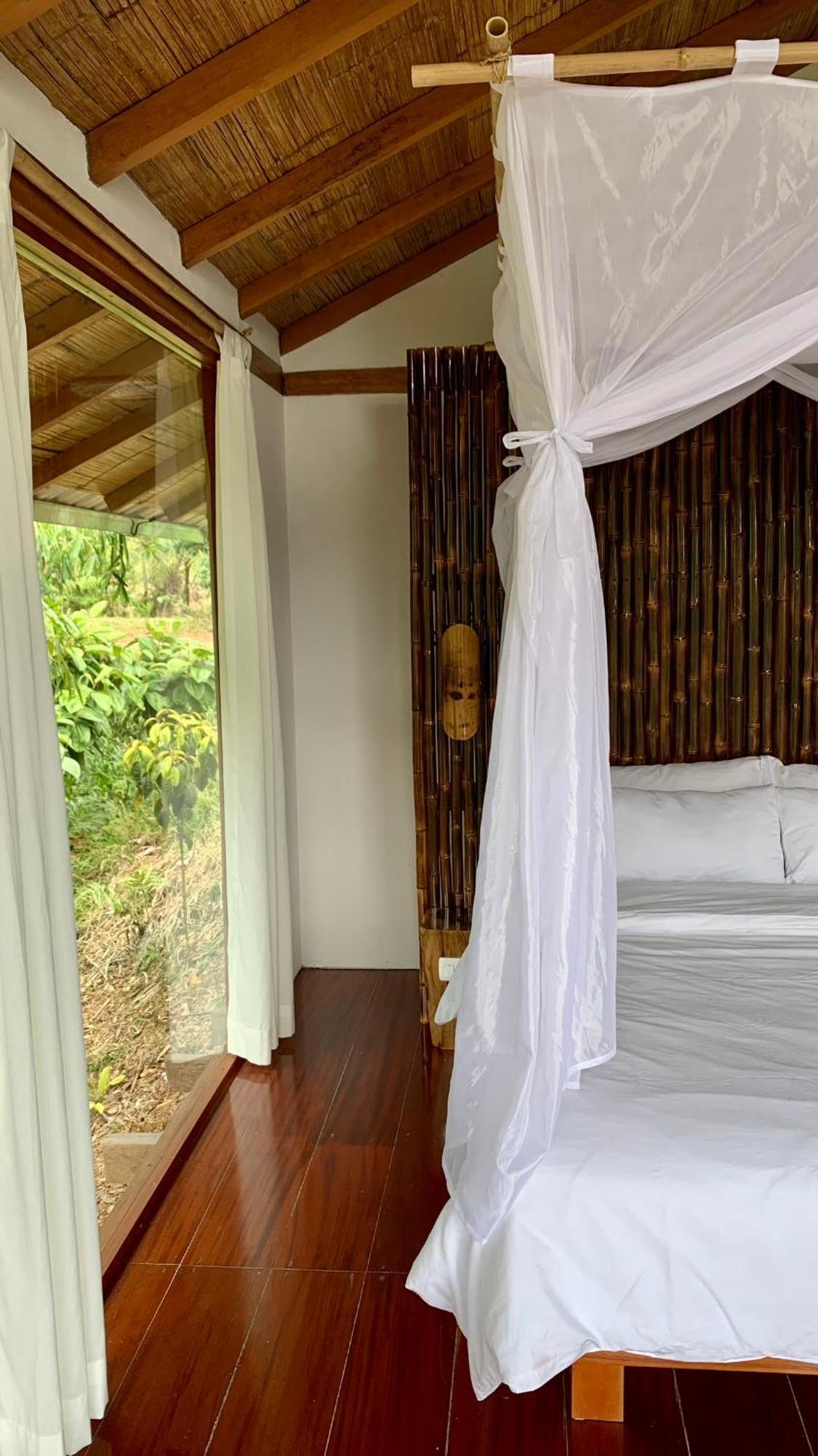 Wild Wasi Lodge - Adventures - Guided Tours Puyo Exterior foto